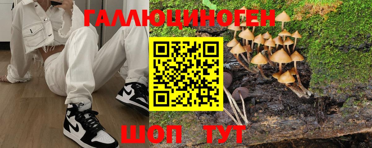 Псилоцибиновые грибы прущие грибы  где купить наркоту  Реутов  Вход с VPN 